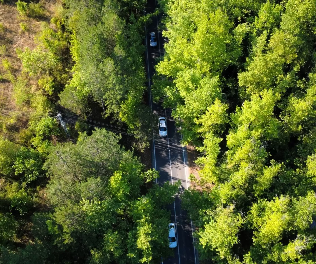 Safranbolu’nun ağaç tüneli: Yeşilin içinde büyüleyici yolculuk keyfi 2