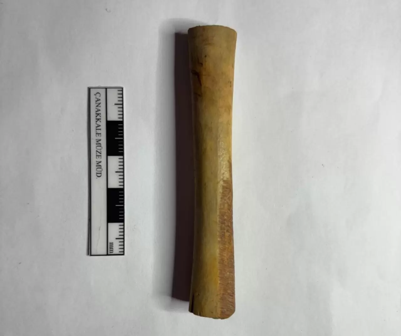 Troya’da 4 bin 500 yıllık altın broş ve yeşim taşı gün yüzüne çıktı 8