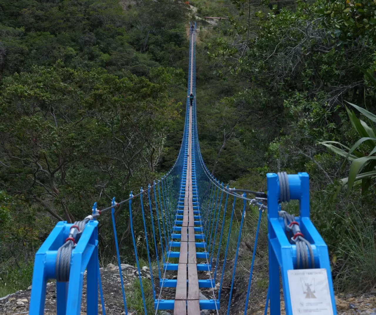 Kolombiya’da Muisca mirasını yansıtan asma köprüler ziyaretçileri büyülüyor 3