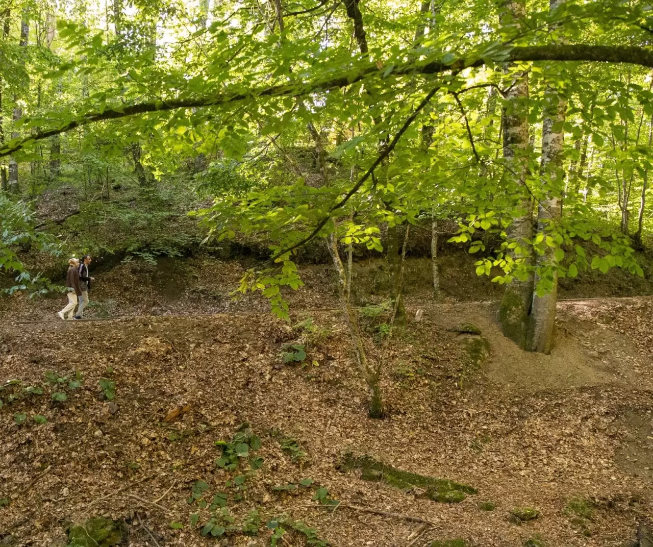 Bolu Yedigöller Milli Parkı sonbaharda ziyaretçilerini bekliyor 11