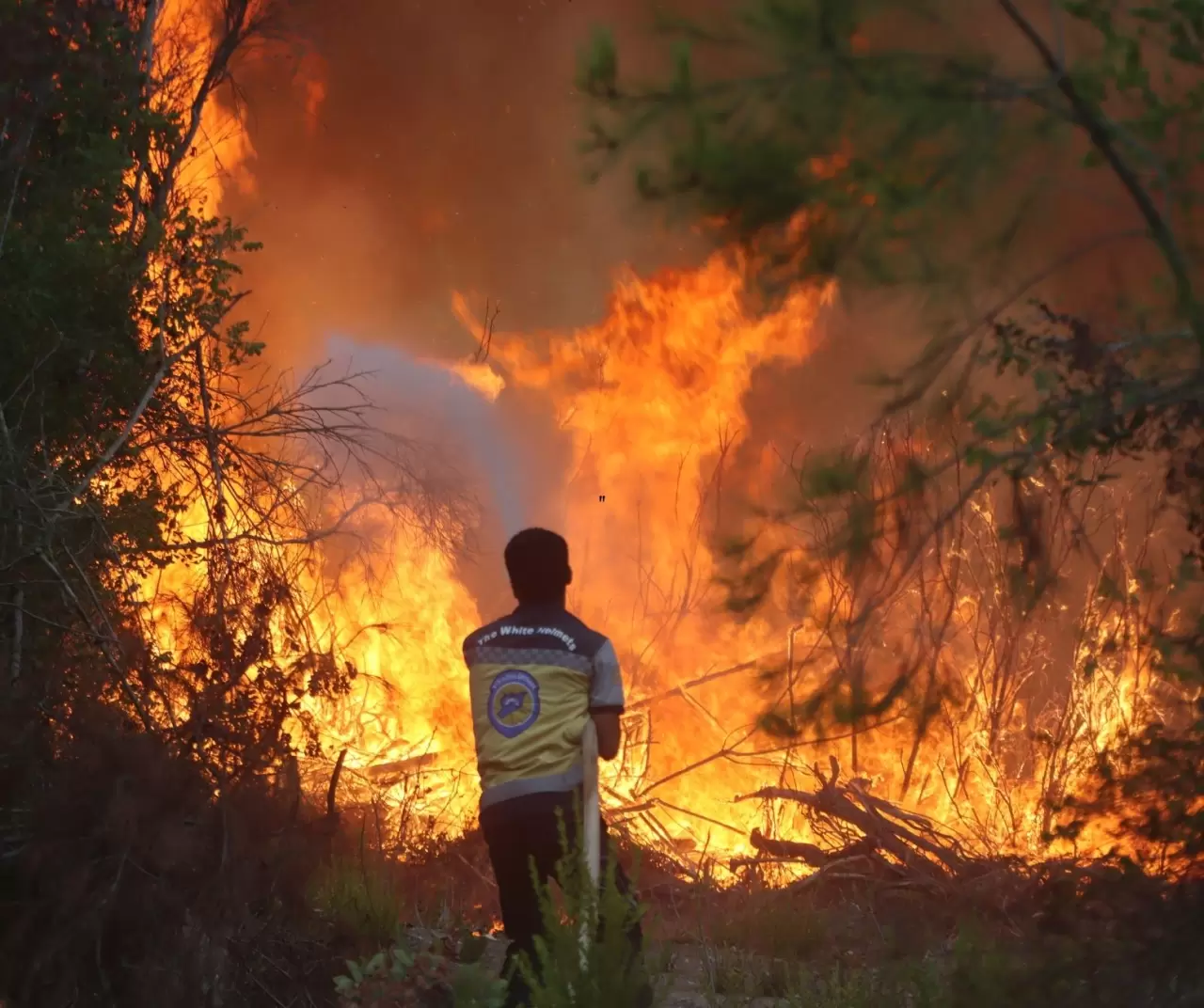 Suriye’nin Bayır - Bucak bölgesinde orman yangını: 3 itfaiyeci yaralandı 8