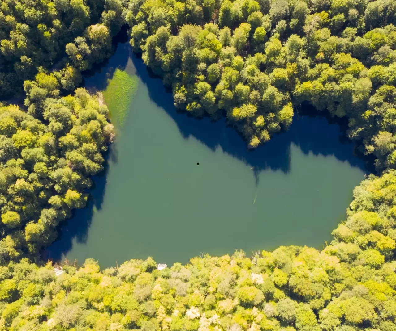 Bolu Yedigöller Milli Parkı sonbaharda ziyaretçilerini bekliyor 2