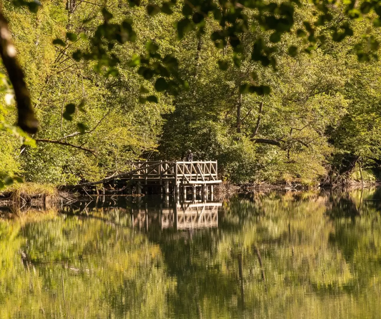 Bolu Yedigöller Milli Parkı sonbaharda ziyaretçilerini bekliyor 13