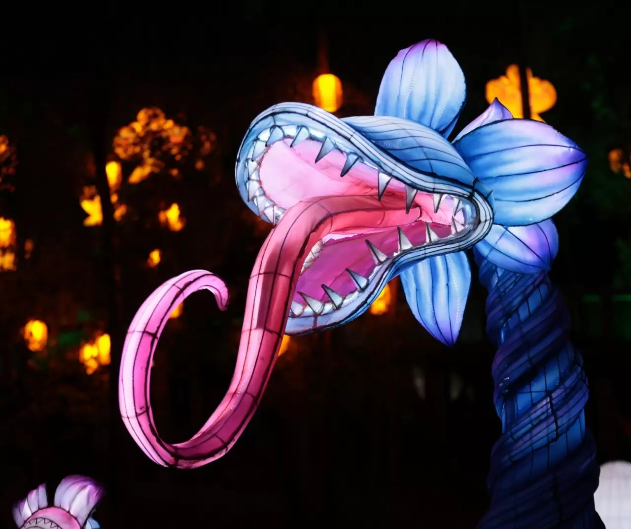 Buenos Aires’te Tianfu Festivali ışıl ışıl başladı 18