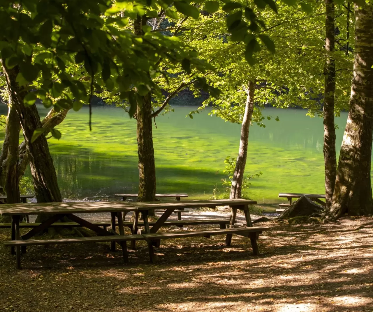Bolu Yedigöller Milli Parkı sonbaharda ziyaretçilerini bekliyor 10