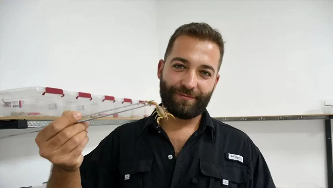 Tesis kurdu, 4 ayda 4 bin yavru üretti 5