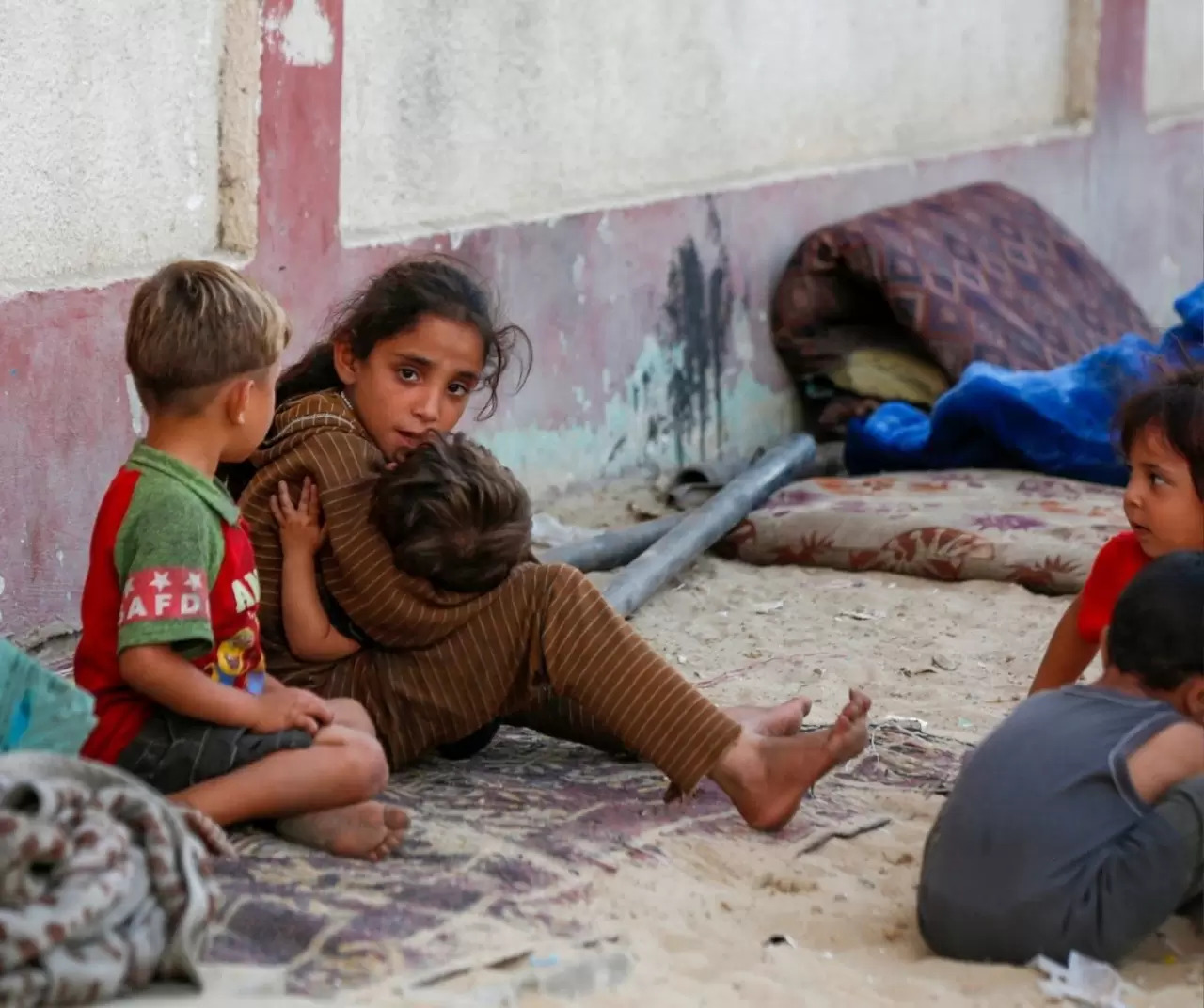 İsrail saldırılarından kaçarak Deyr Belah'a sığınan Filistinli aileler, zor şartlar altında yaşamlarını sürdürüyor 1