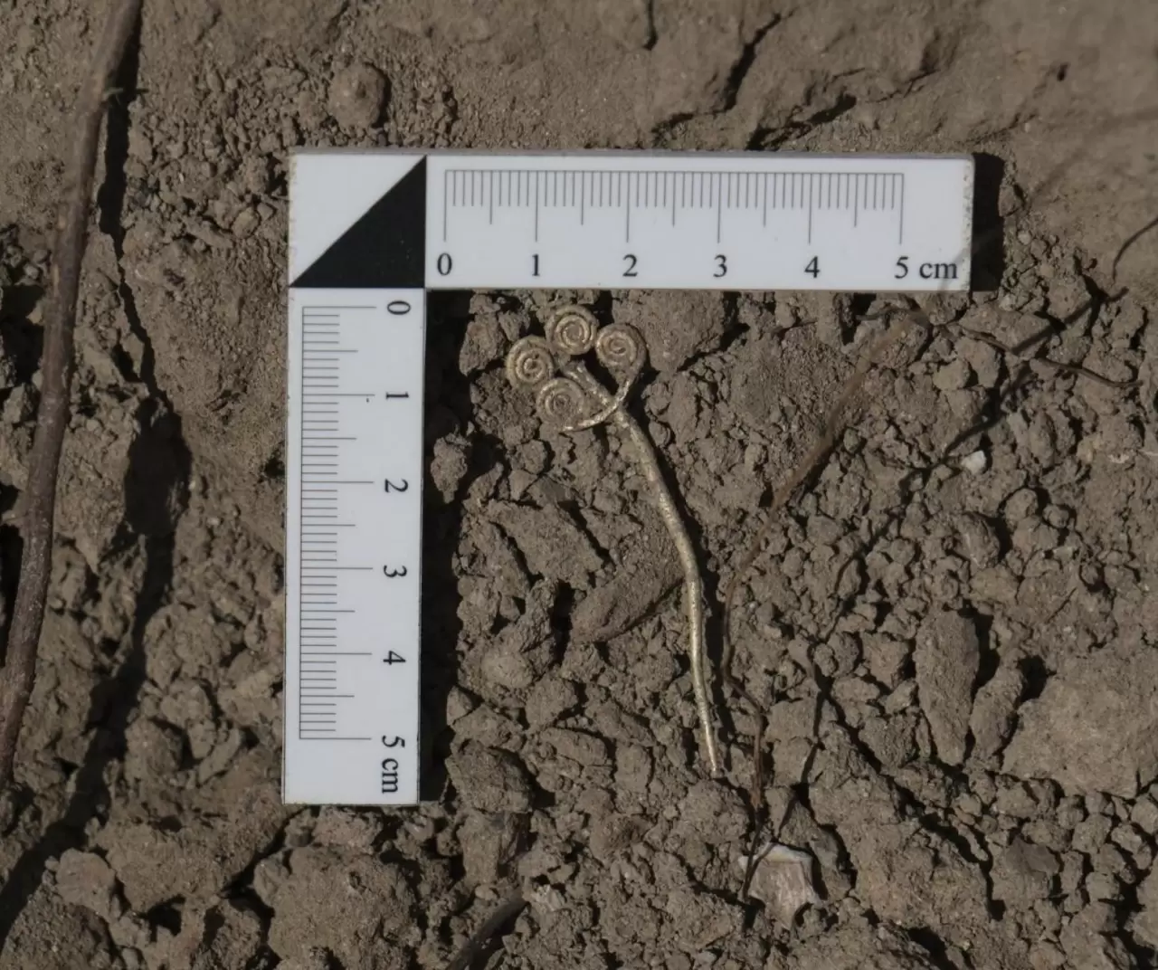 Troya’da 4 bin 500 yıllık altın broş ve yeşim taşı gün yüzüne çıktı 1