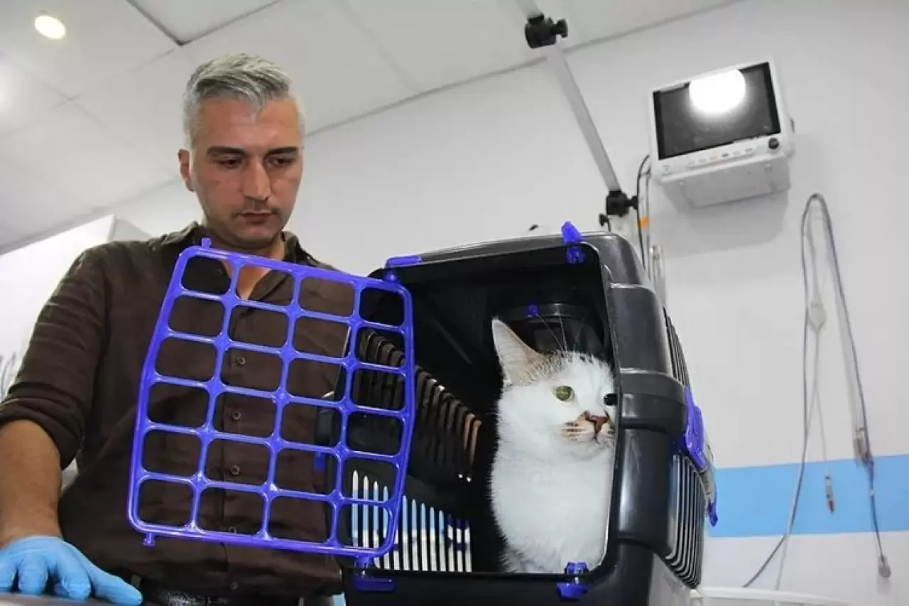 Şehir değiştirince depresyona girmişti! Tedavi yöntemi herkesi şaşırttı 9