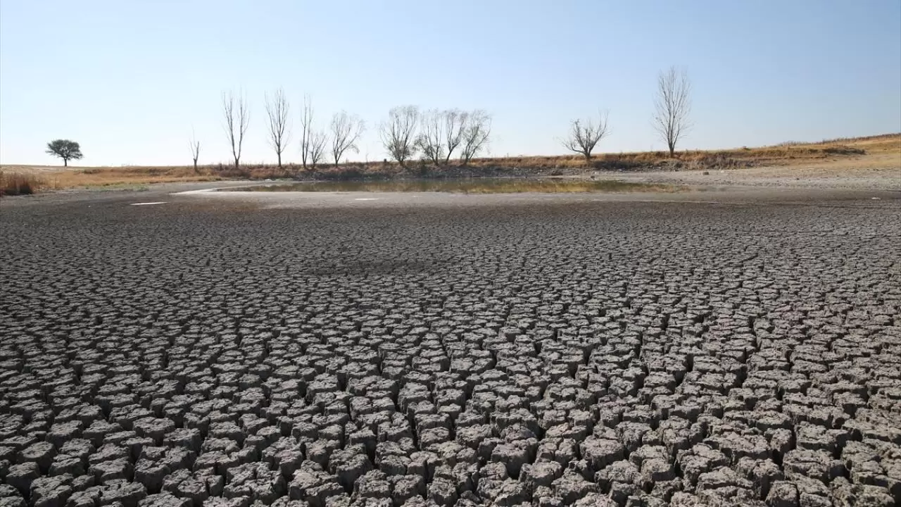 Habiller köyü susuzlukla karşı karşıya: 5 göletten 4’ü kurudu 9