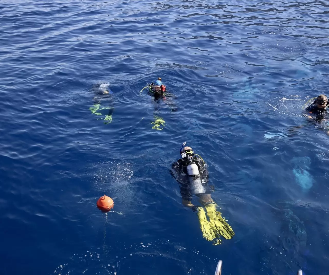 Altın Palet Sualtı Görüntüleme Türkiye Şampiyonası Fethiye’de başladı 3