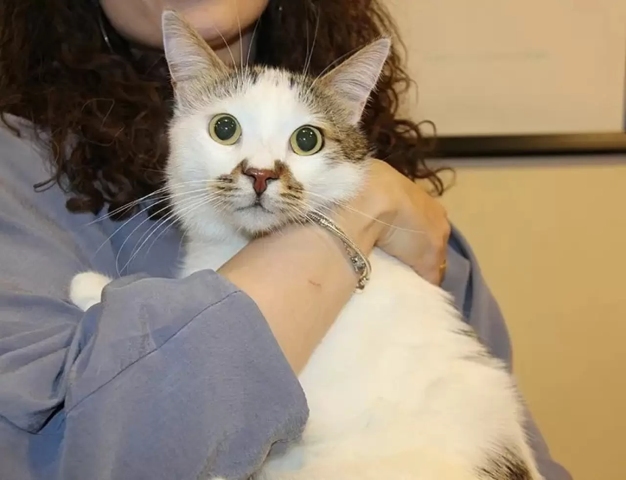 Şehir değiştirince depresyona girmişti! Tedavi yöntemi herkesi şaşırttı 1