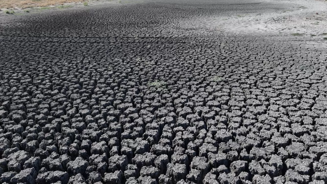 Habiller köyü susuzlukla karşı karşıya: 5 göletten 4’ü kurudu 8