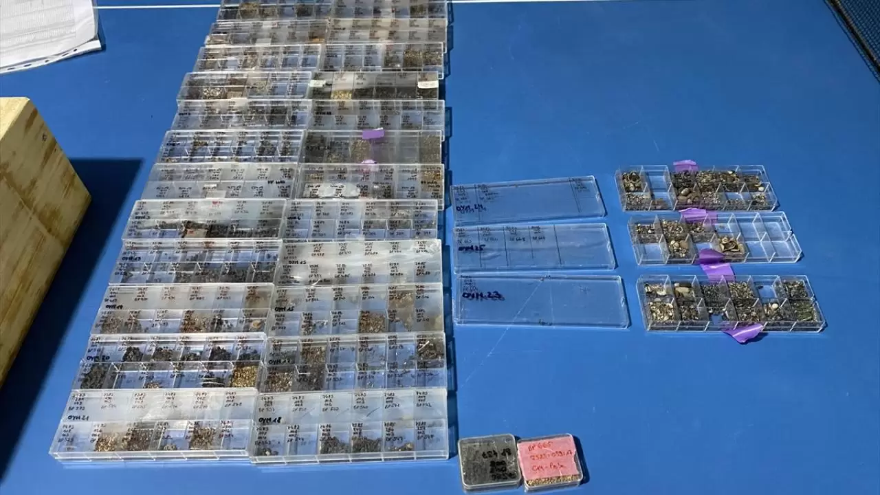 Nerik'te 3 bin 500 yıllık fındık fosili bulundu 6