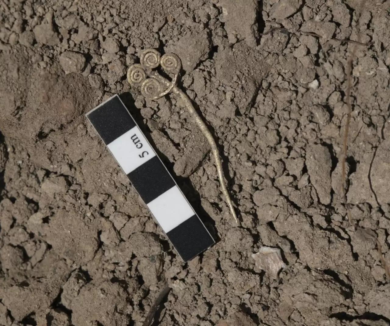 Troya’da 4 bin 500 yıllık altın broş ve yeşim taşı gün yüzüne çıktı 3