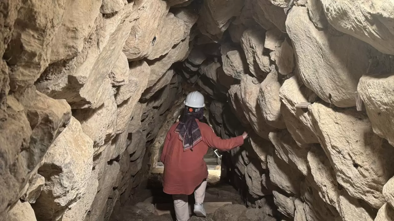 Nerik'te 3 bin 500 yıllık fındık fosili bulundu 5