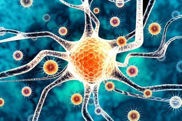 Bilim insanları Kuzey Amerika'da ilk henipavirüsü keşfetti 7