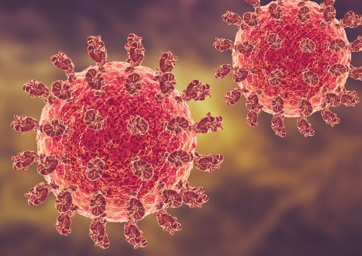 Bilim insanları Kuzey Amerika'da ilk henipavirüsü keşfetti 5