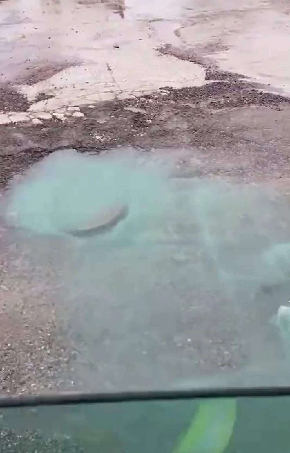 Yalova'da ilginç anlar, rögardan mavi su fışkırdı! 2