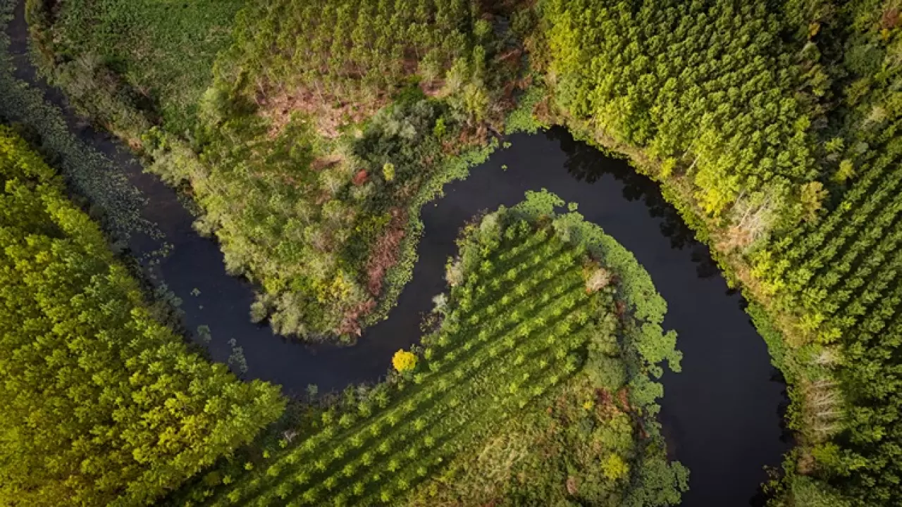 Acarlar Longozu ve Melen Havzası sonbahar renkleriyle büyülüyor! 3