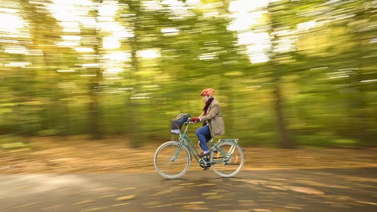 Berlin Tiergarten’da sonbahar masalı 3