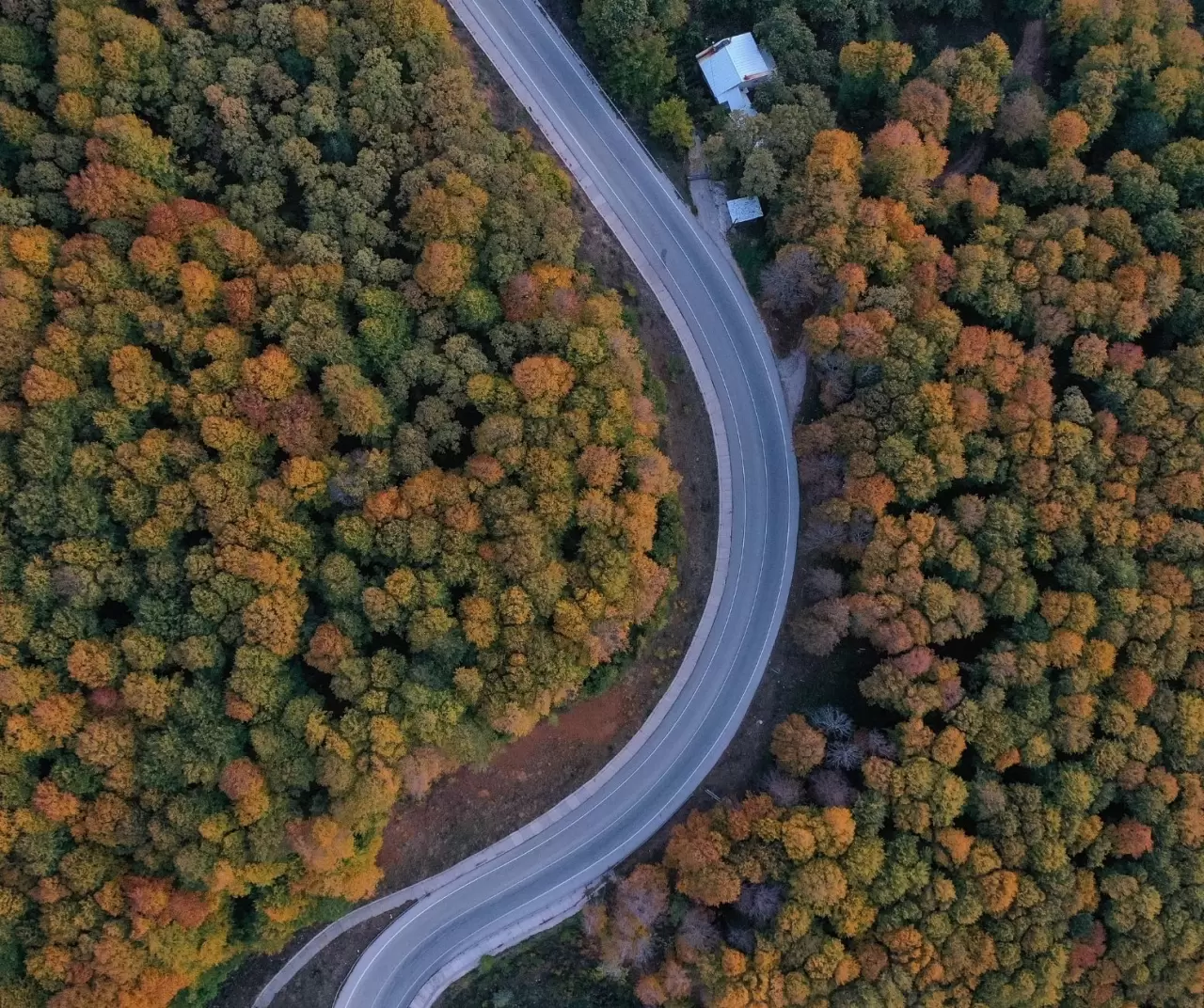 Uludağ'da sonbahar rengarenk görsel şölen sunuyor 4