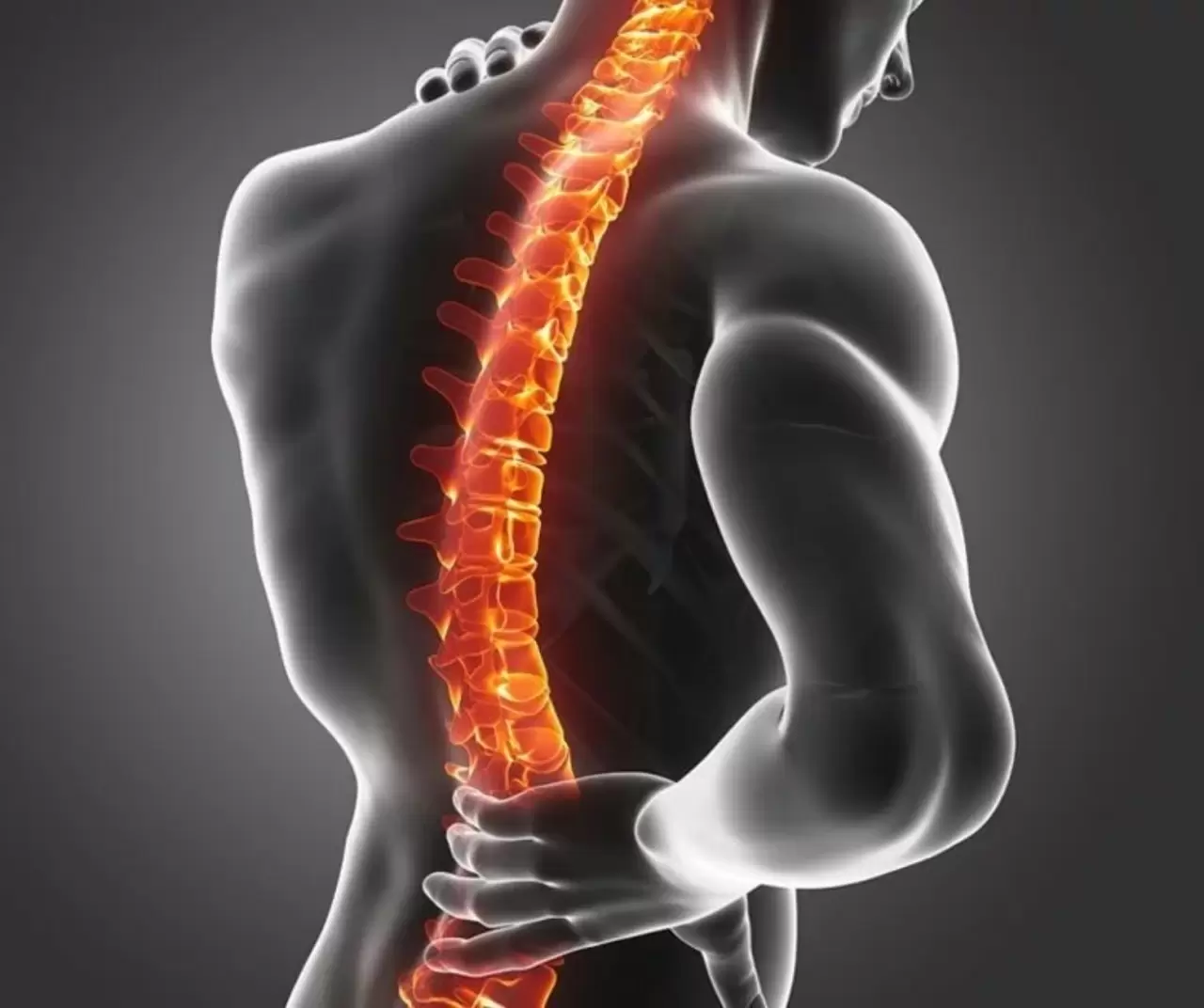 20 Ekim Dünya Osteoporoz Günü’nde kemik sağlığına dikkat çekildi 3