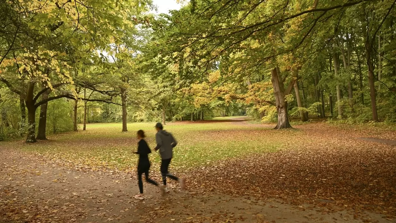 Berlin Tiergarten’da sonbahar masalı 4