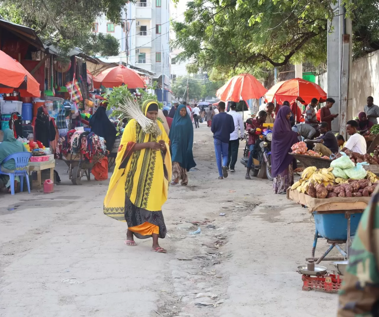 Somali yeniden doğuyor: Afrika Boynuzu’nun parlayan yıldızı 4