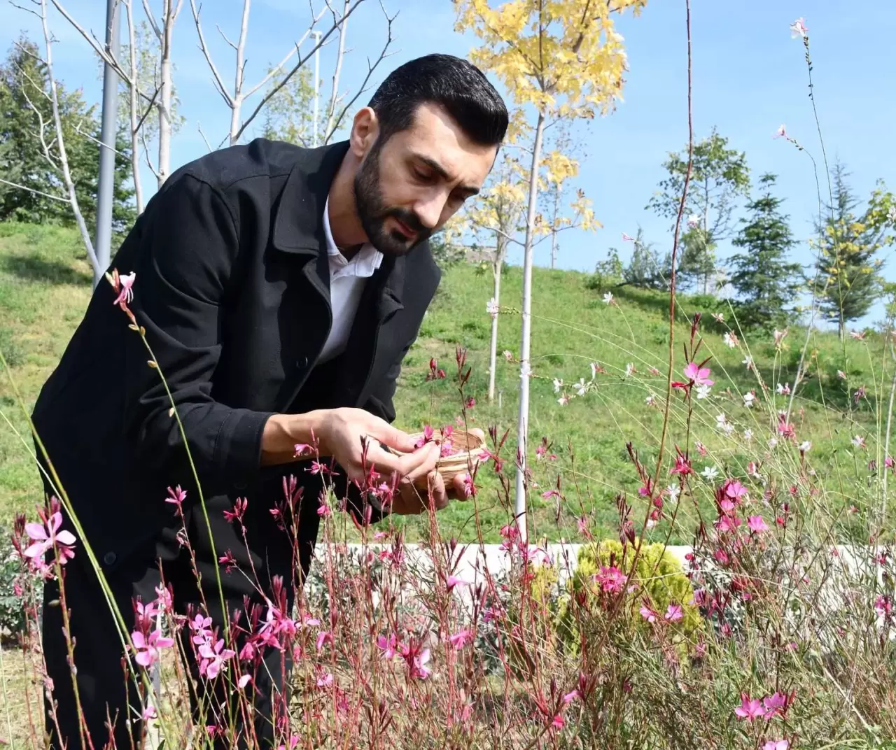 Düzce Üniversitesi'nden Özel Koleksiyon: Doç. Dr. Yusuf Parlak'ın El Yapımı Kağıtlarıyla Botanik Bahçenin Güzellikleri! 2