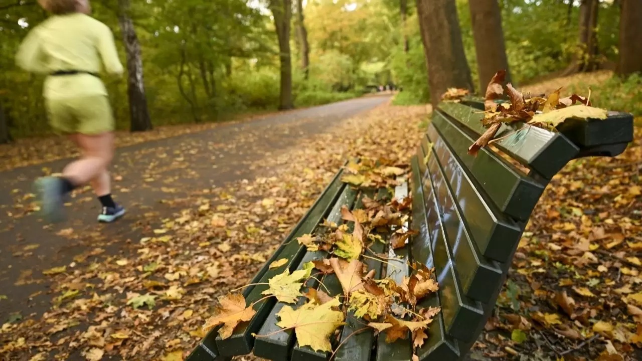 Berlin Tiergarten’da sonbahar masalı 2
