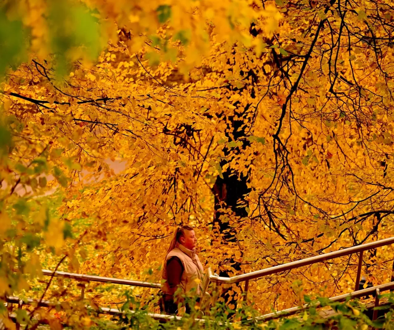 Tsaritsıno Sarayı’nda altın sonbahar büyüsü 10