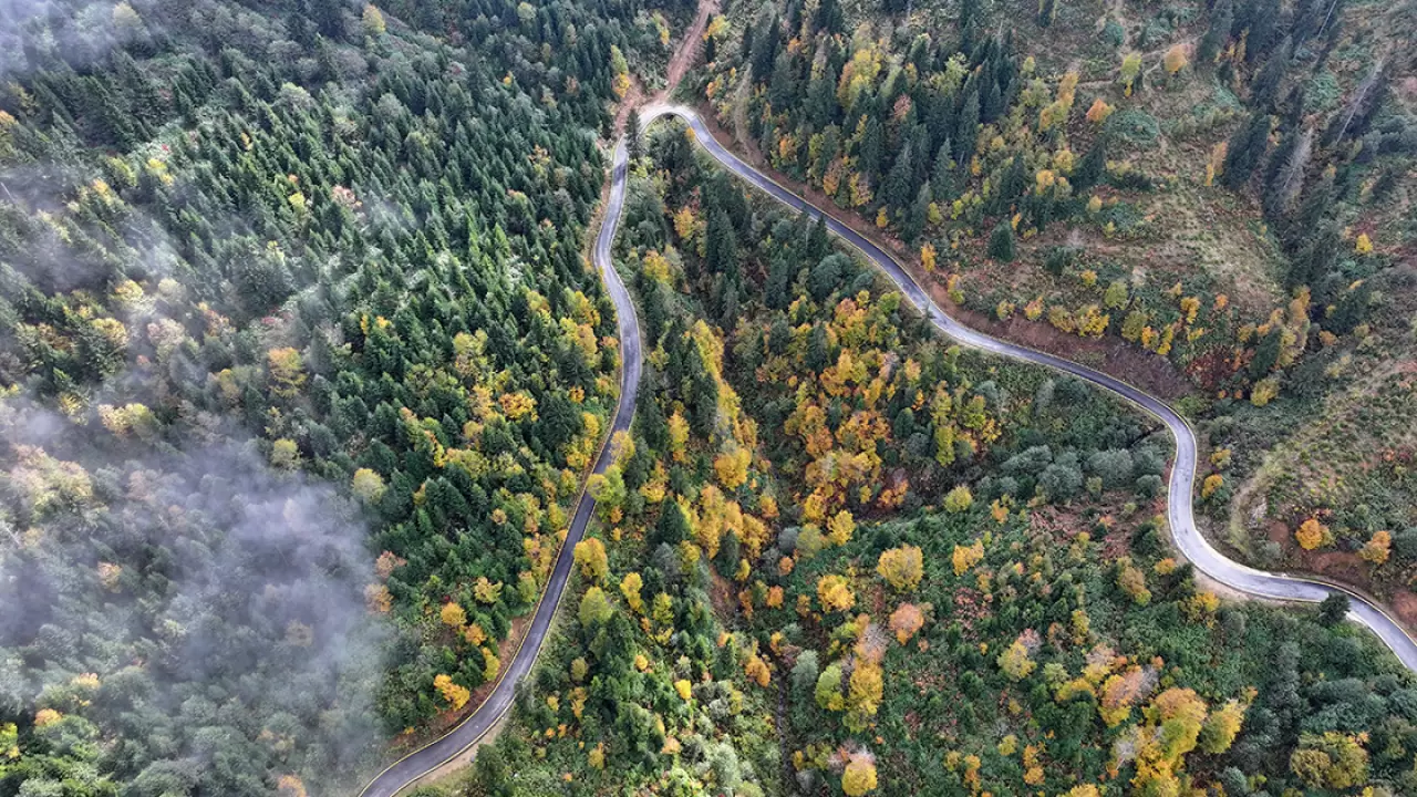 Trabzon'un yüksek tepeleri sonbaharın büyüleyici renklerine büründü 2