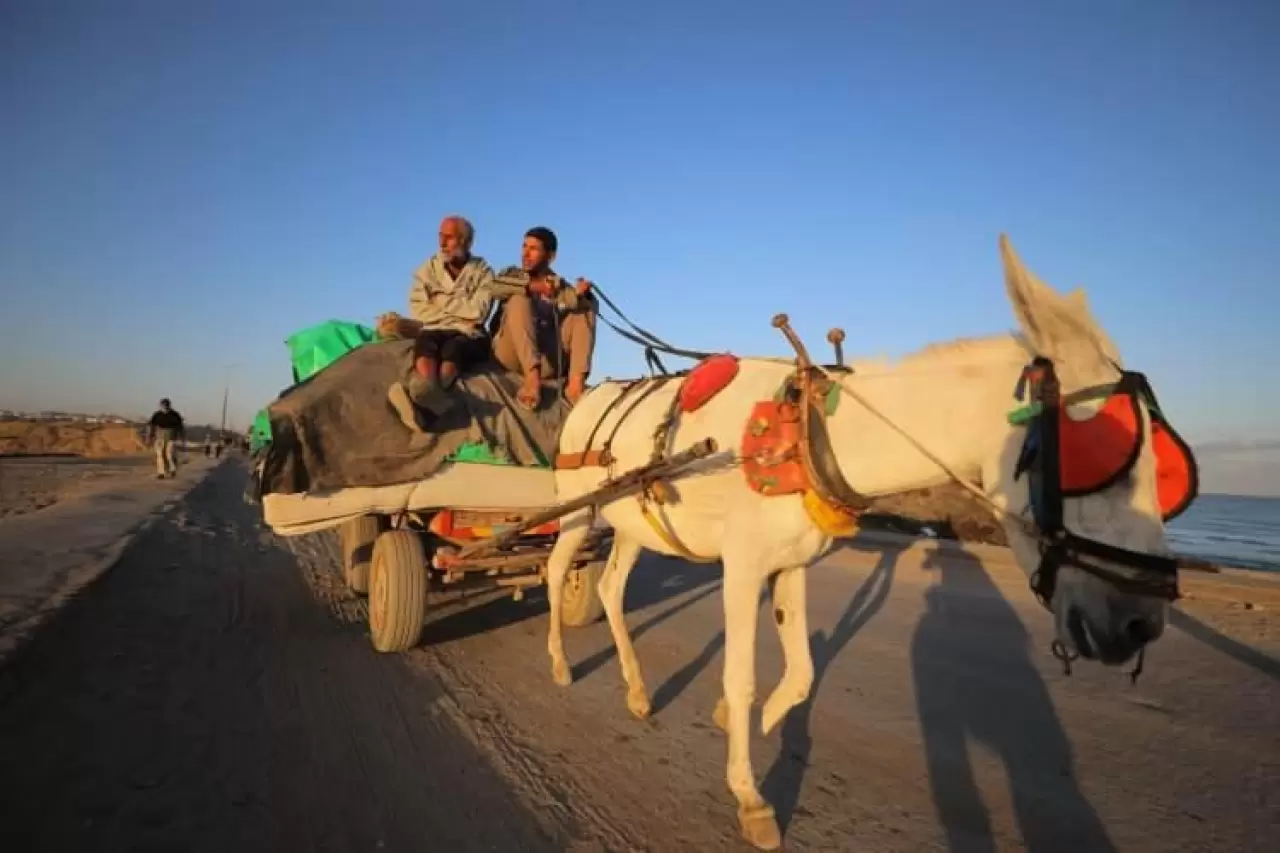 Yıkıntılar arasında eve dönüş başladı! Gazzelilerden umut adımları... 9