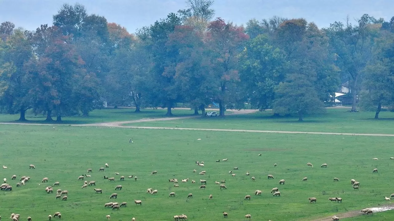 Efteni Gölü’nde sonbahar tüm güzelliğiyle sahnede 8