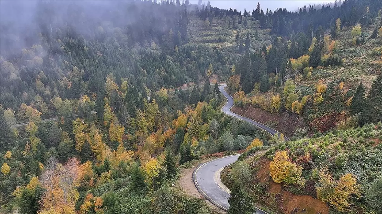 Trabzon'un yüksek tepeleri sonbaharın büyüleyici renklerine büründü 1