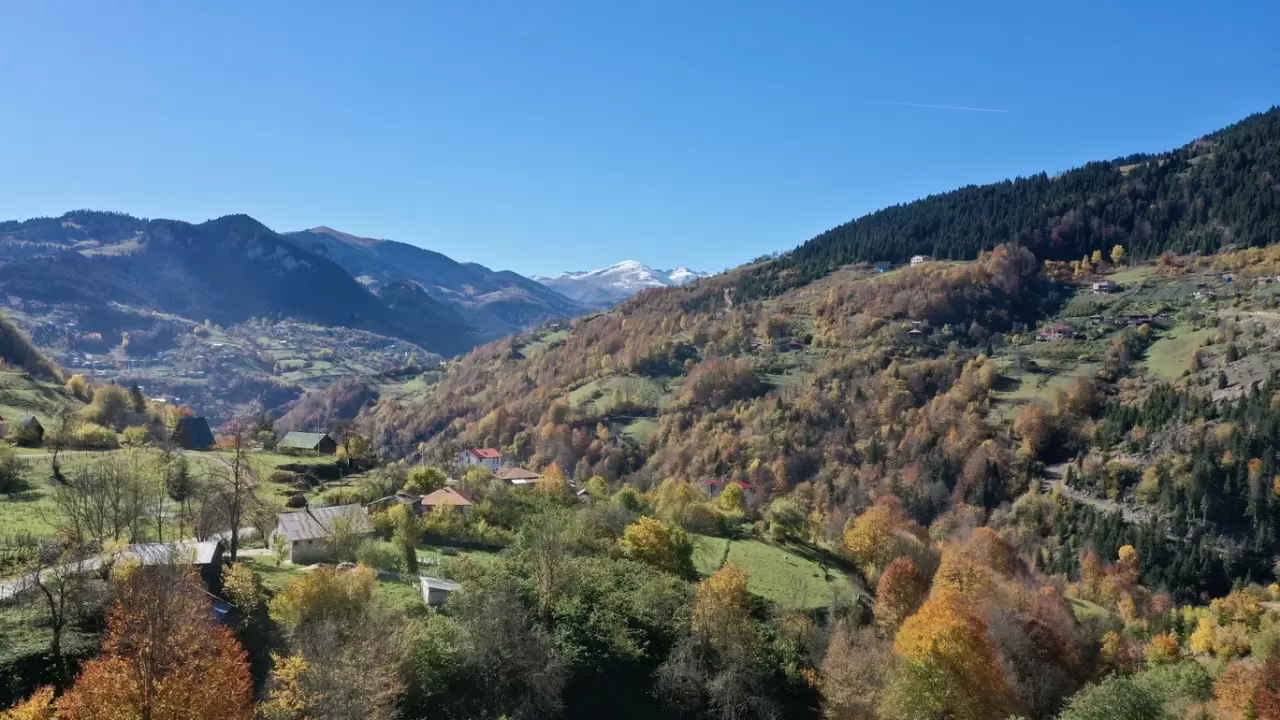 Dereli'de sonbahar renkleri: Doğanın büyüsü görsel şölene dönüşüyor 4