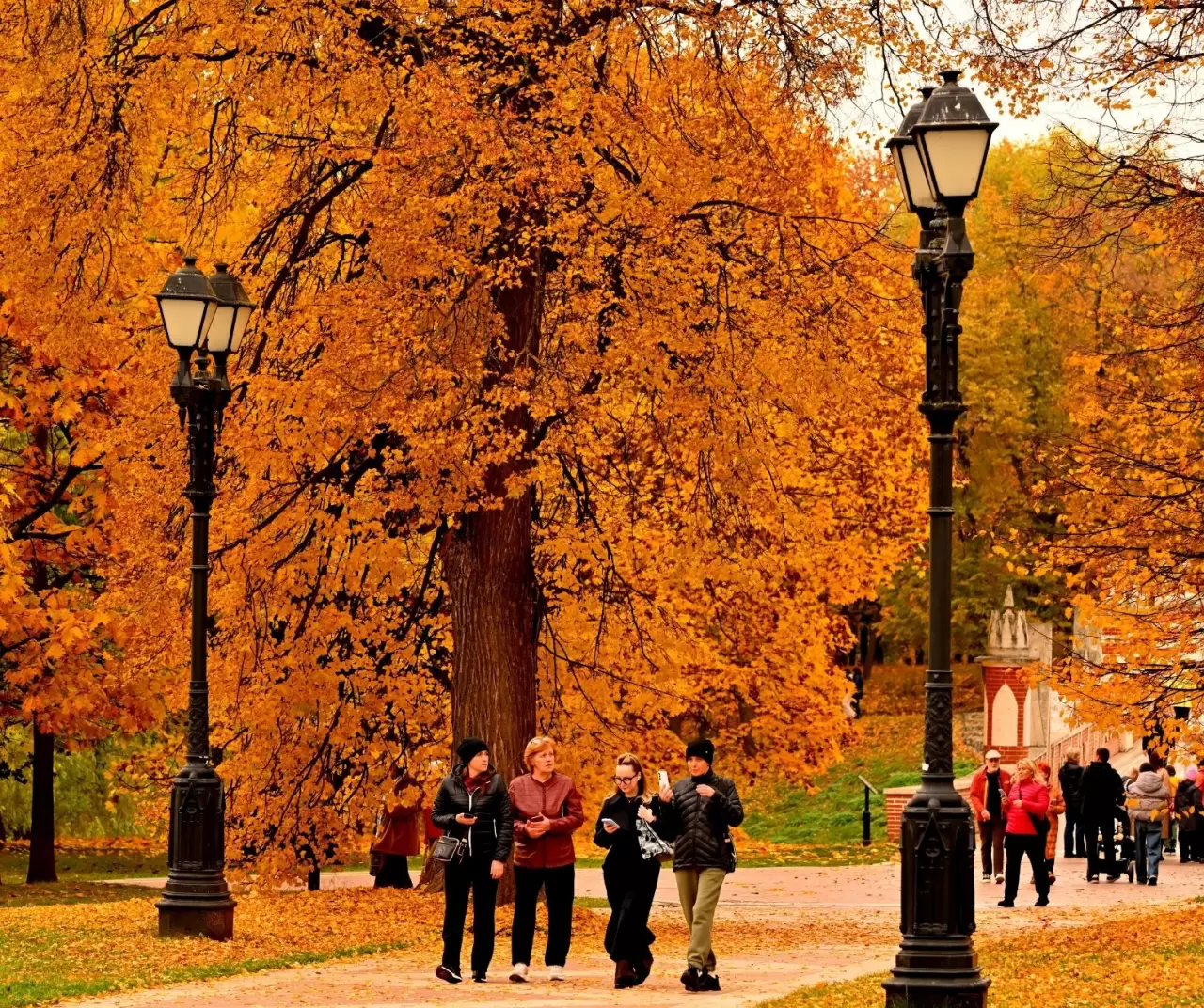 Tsaritsıno Sarayı’nda altın sonbahar büyüsü 2