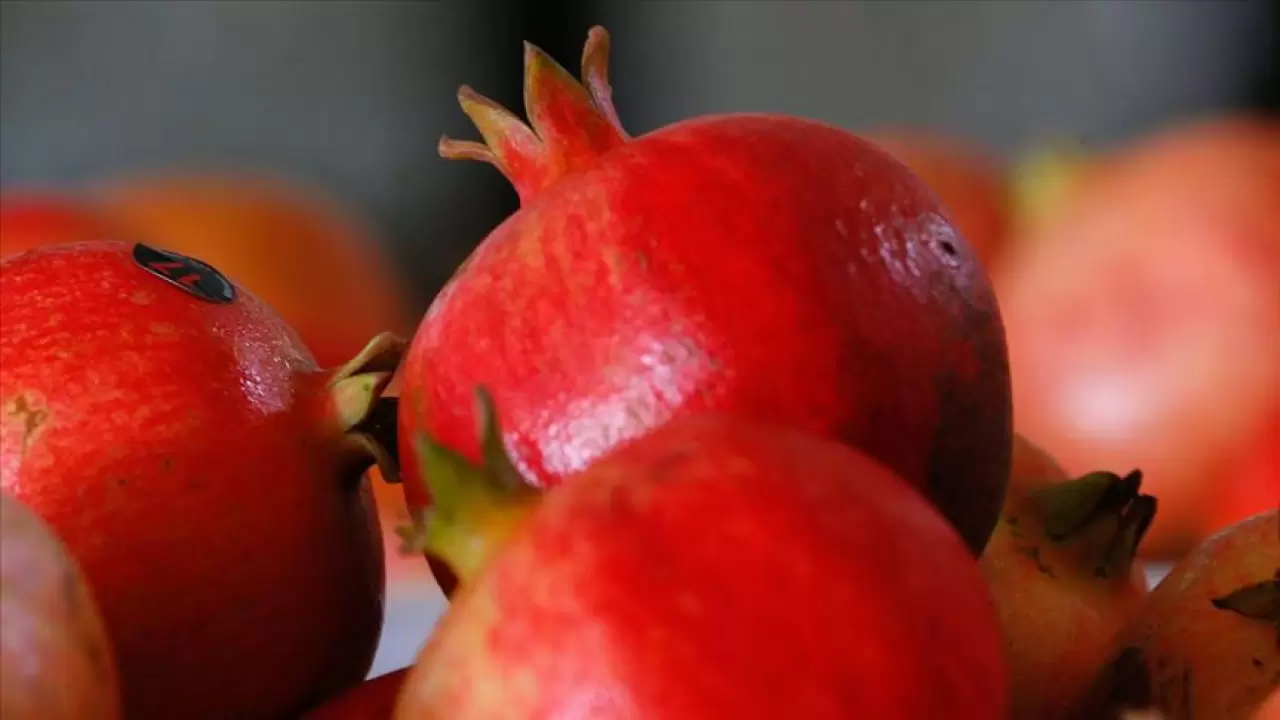 Antioksidan kaynağı en güçlü meyve 3