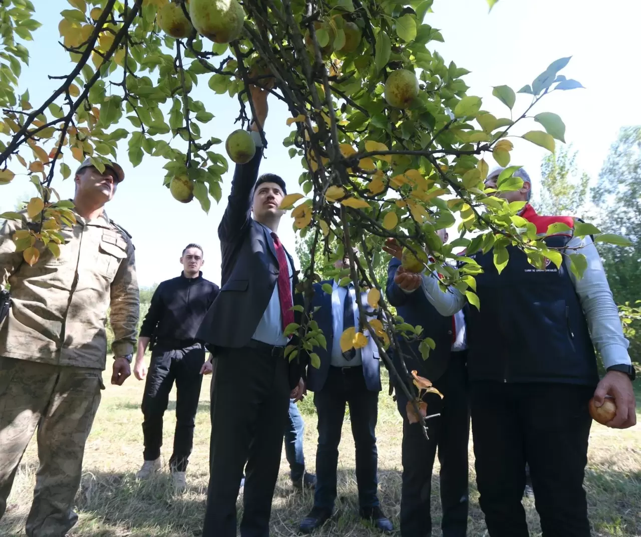 Türkiye-Ermenistan sınırında organik elma üretimi: Kars’ın Halıkışlak Köyü rekolteyle dikkat çekiyor 4