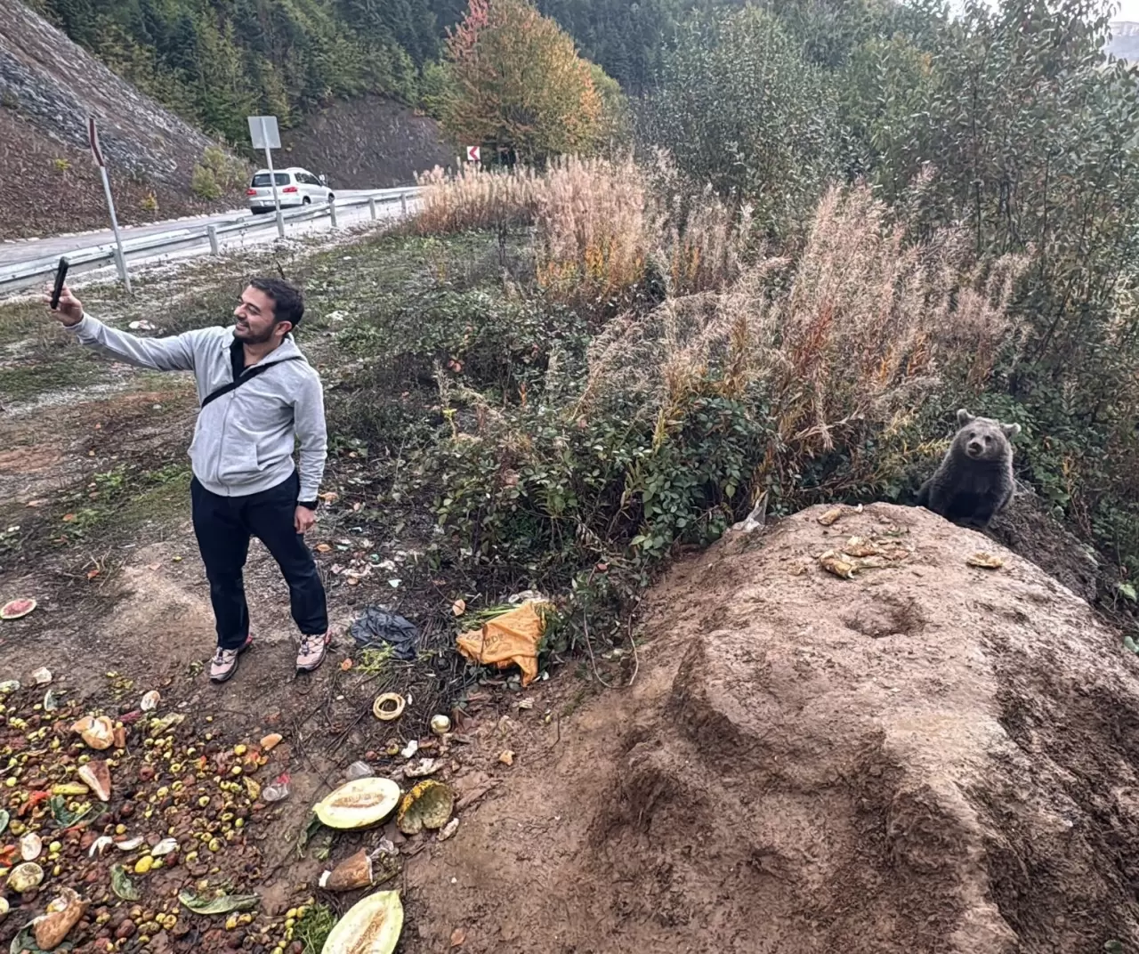 Küre’de yavru ayılar ilgi odağı oldu 5