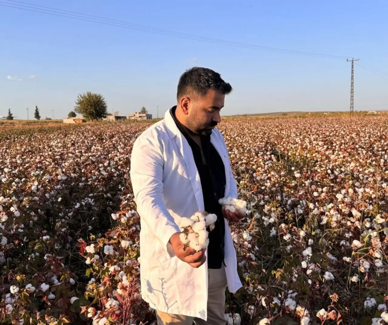 Şanlıurfa’da pamuk hasadı başladı: “Fırat Altını” tarlalarda 4