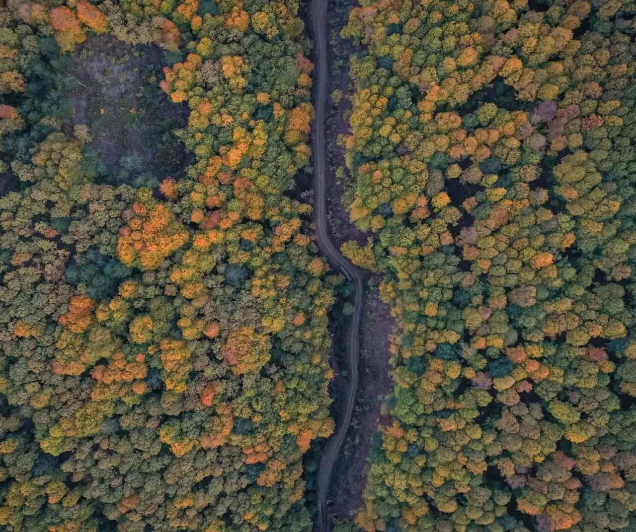 Uludağ'da sonbahar rengarenk görsel şölen sunuyor 8