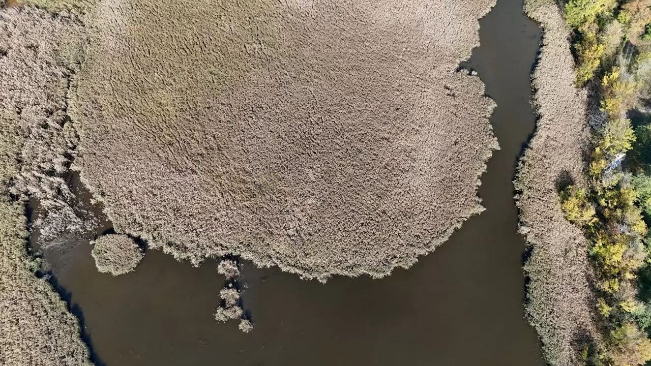 Kırklareli’nin Longoz ve Istranca ormanlarında sonbahar büyüsü 7