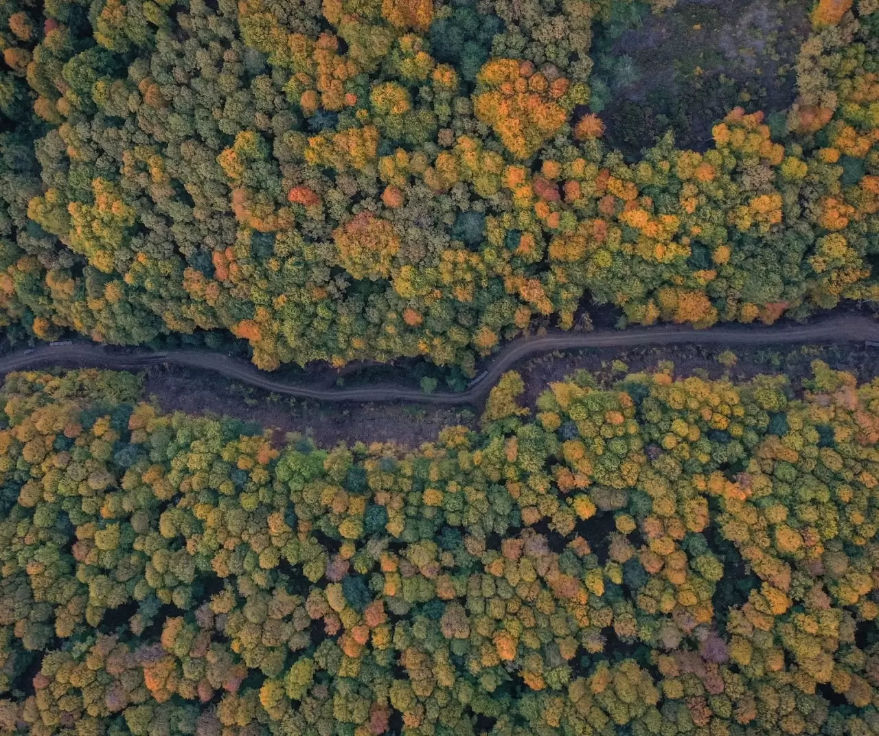 Uludağ'da sonbahar rengarenk görsel şölen sunuyor 2