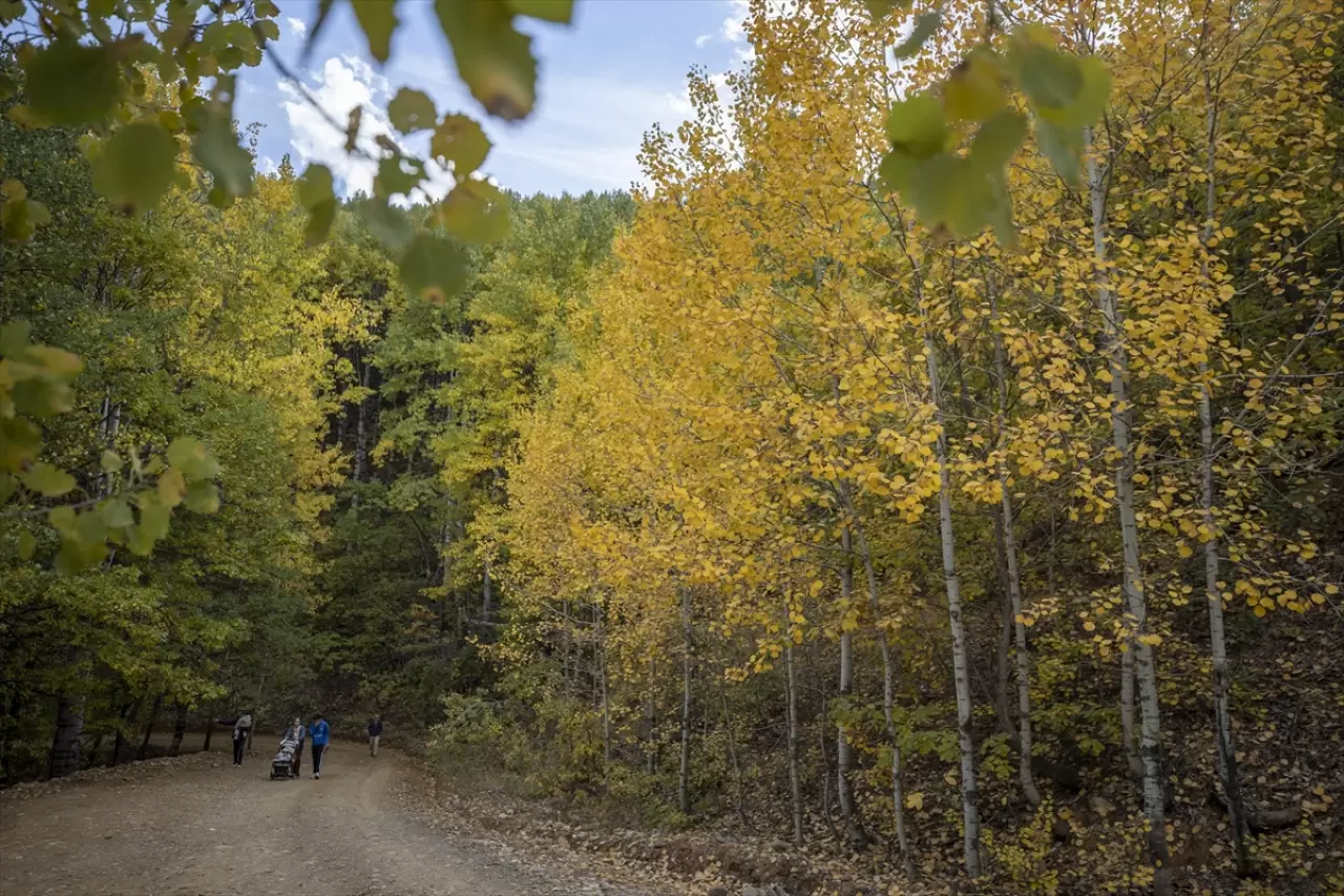 Tunceli’nin zirveleri sonbahar renklerine büründü 4