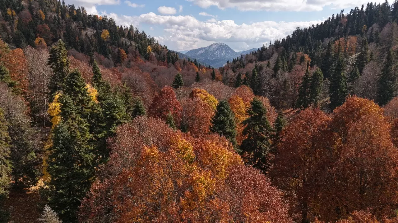 Adana'da sonbahar güzelliği: Adeta doğa sanata dönüştü 1
