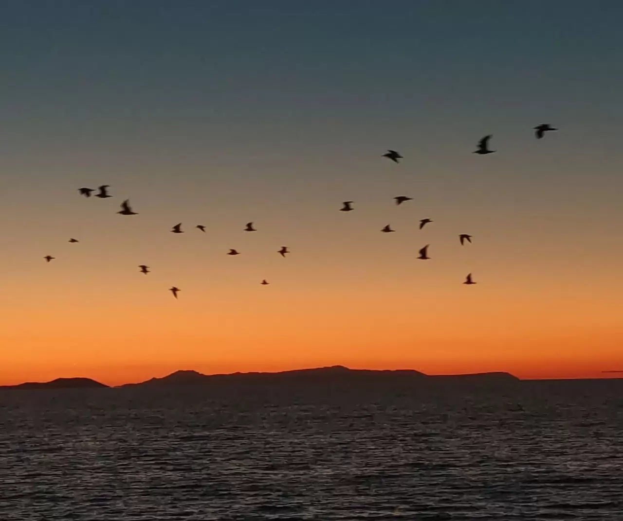 Van Gölü’nde kartpostallık manzara: Kuşlar gün batımıyla göç yolculuğuna başladı 5