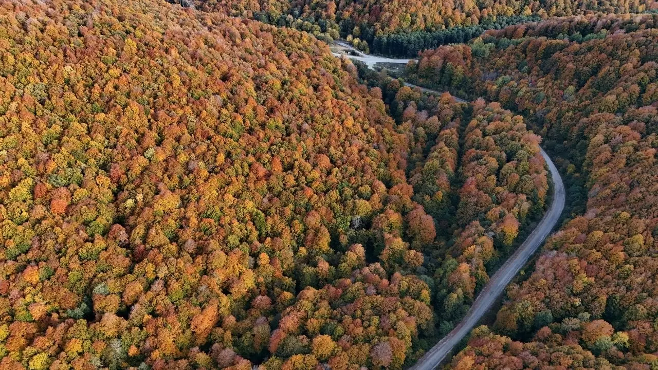 Kırklareli’nin Longoz ve Istranca ormanlarında sonbahar büyüsü 1