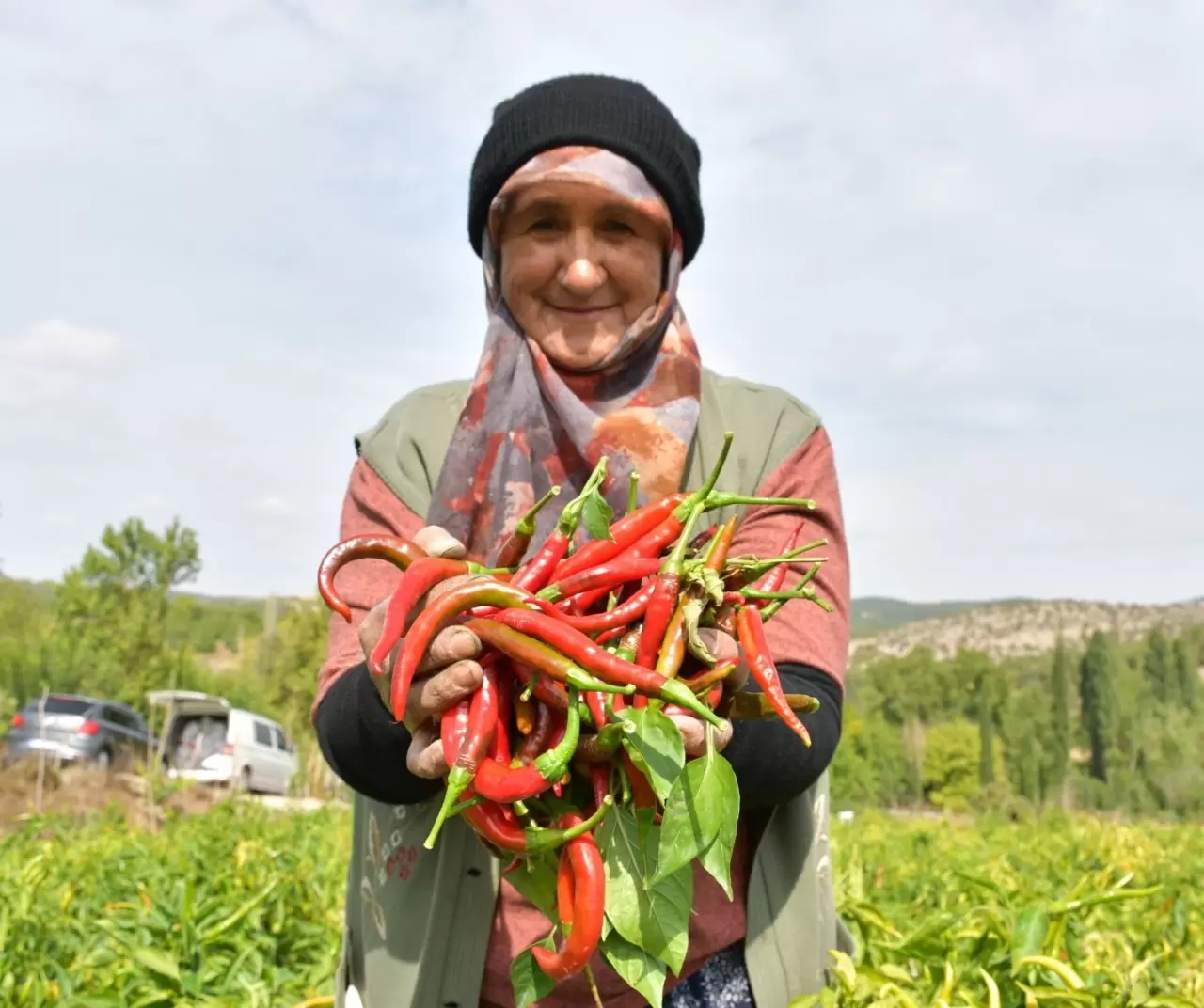 Kuraklık Çukurören biberini vurdu: Üretim alanı yarı yarıya azaldı 5